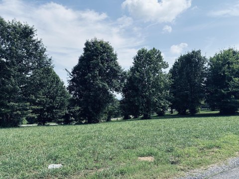 LAND - Jasper, TN
