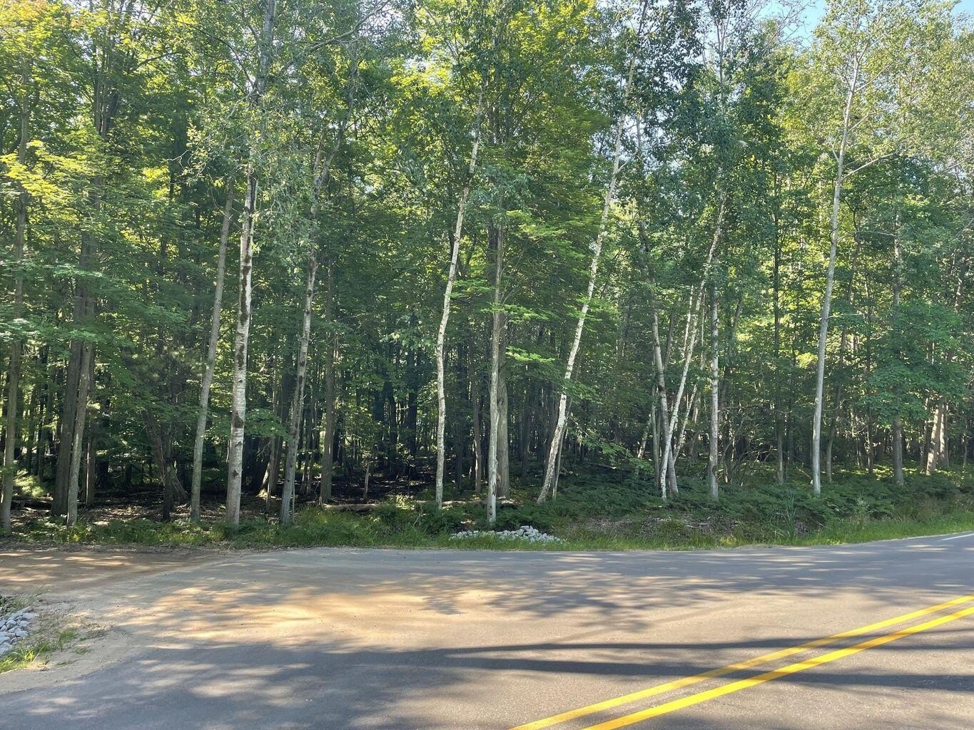 Wooded Land Near Lake Michigan