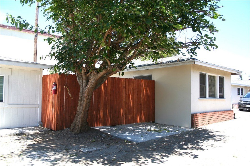 Picture 19