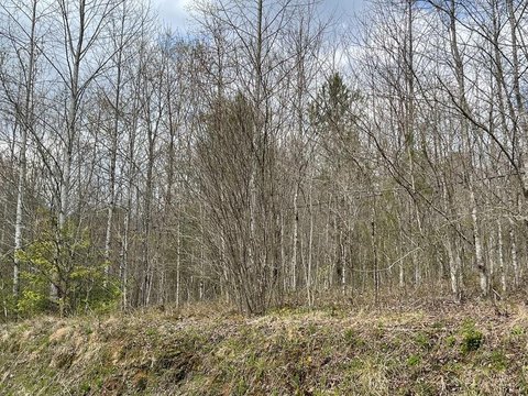 Gentle Mountain Land Tract