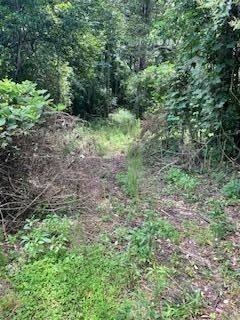 LAND - luverne, AL