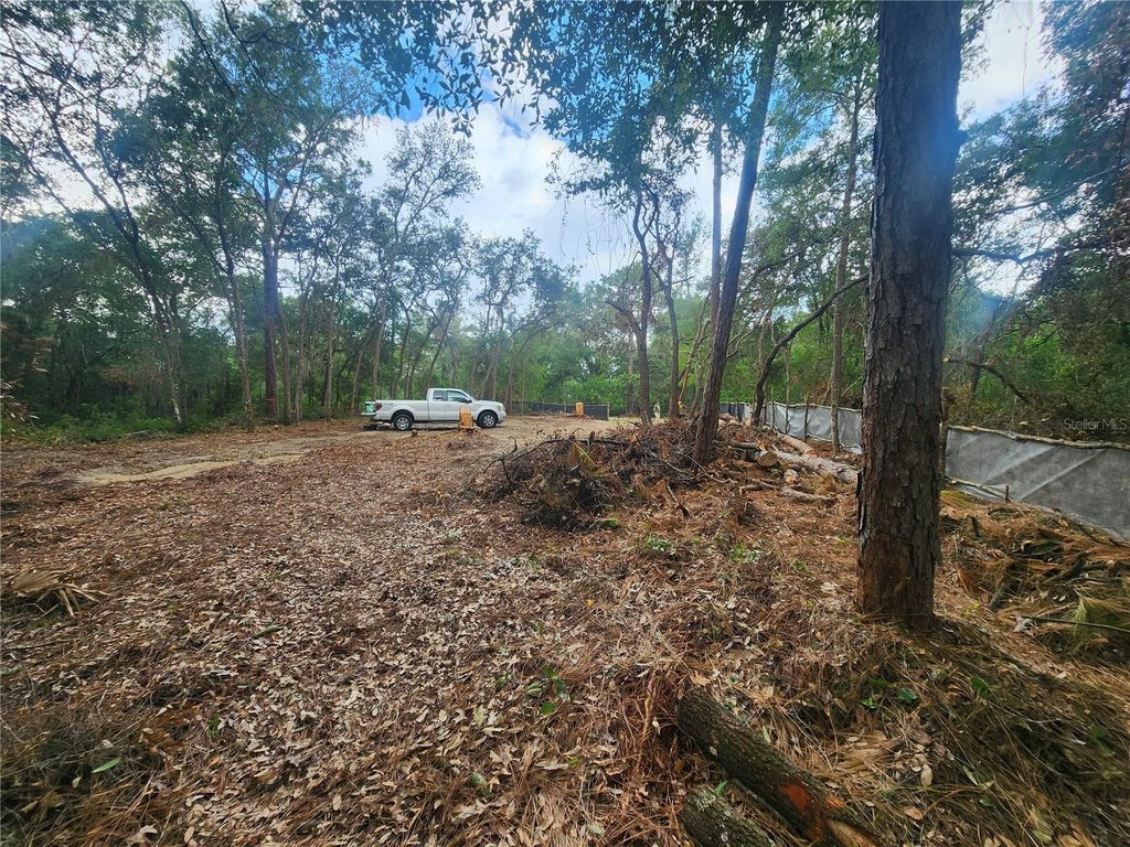 Picture 6