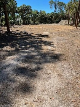 Land, NAPLES, FL