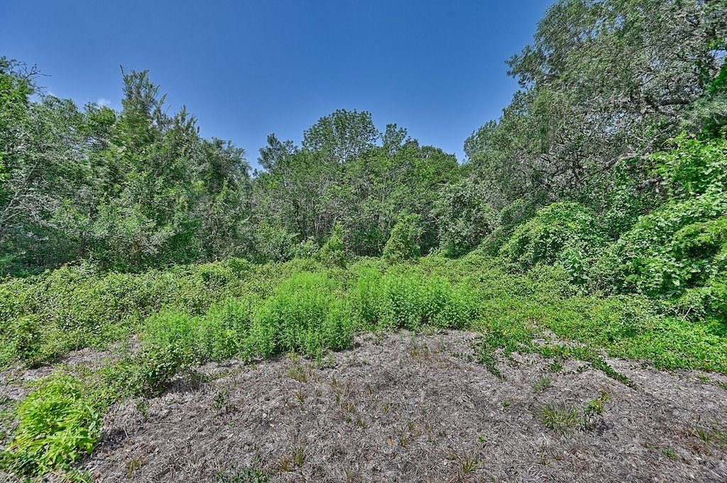 Picture 10