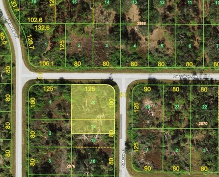 Oversized Vacant Lot in Charlotte