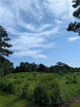 LAND - Bush, LA