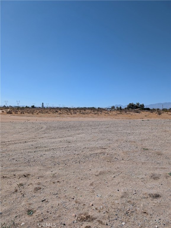 Picture 6