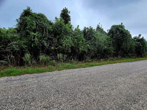 Lot, Bastrop, TX