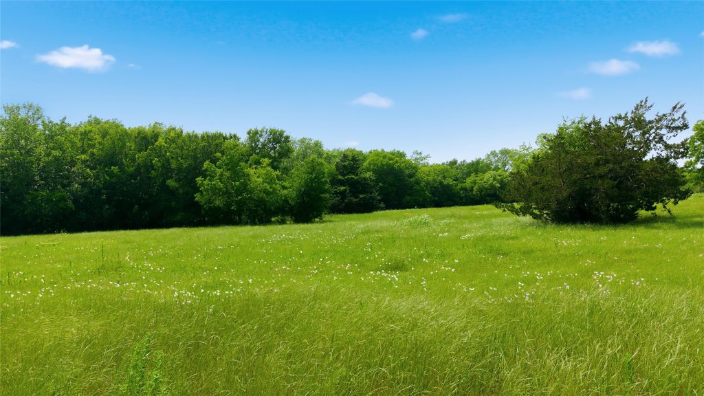 Picture 27