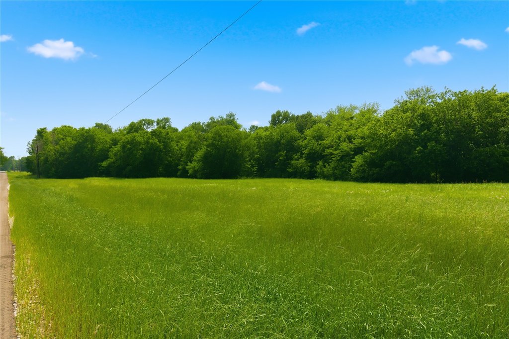 Picture 14