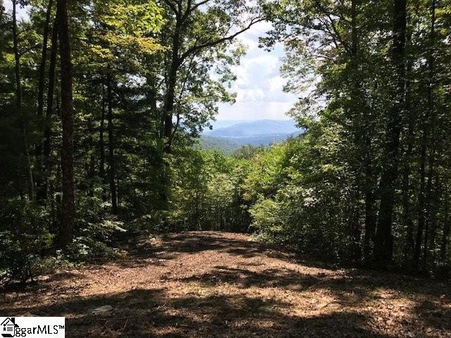 Travelers Rest Mountain View Homesite