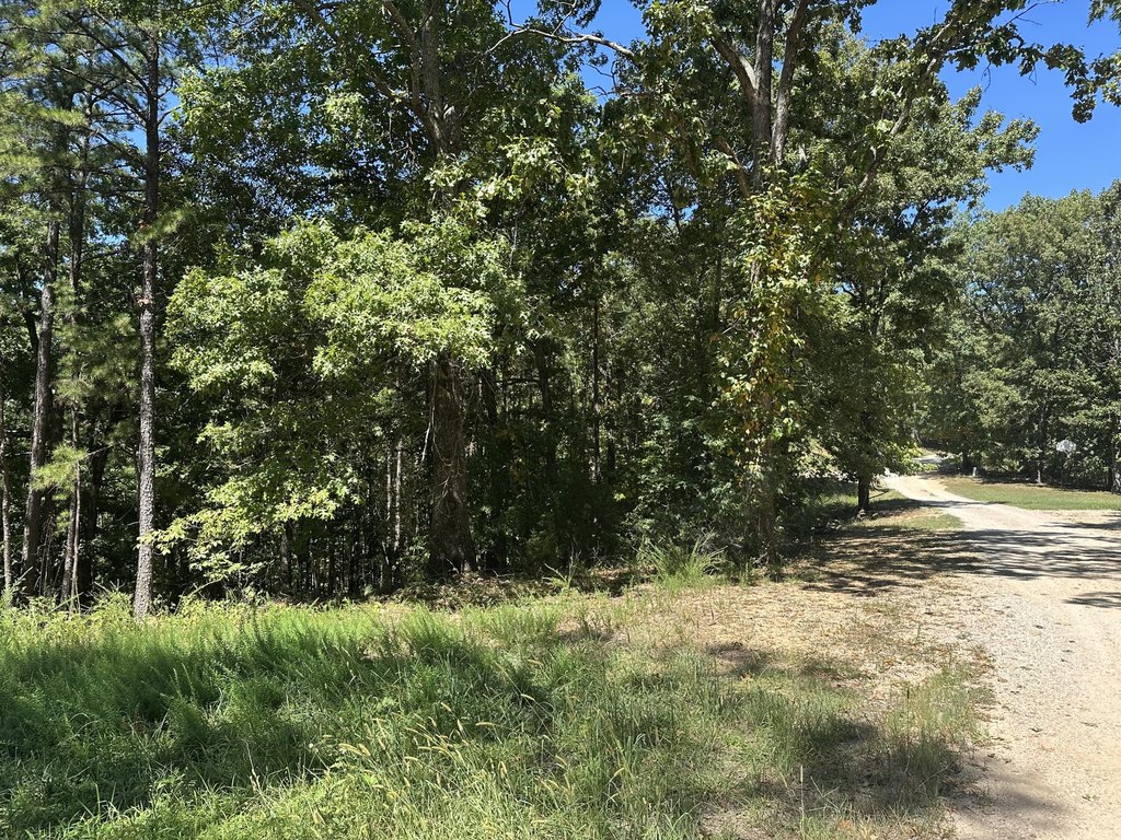 Picture 6
