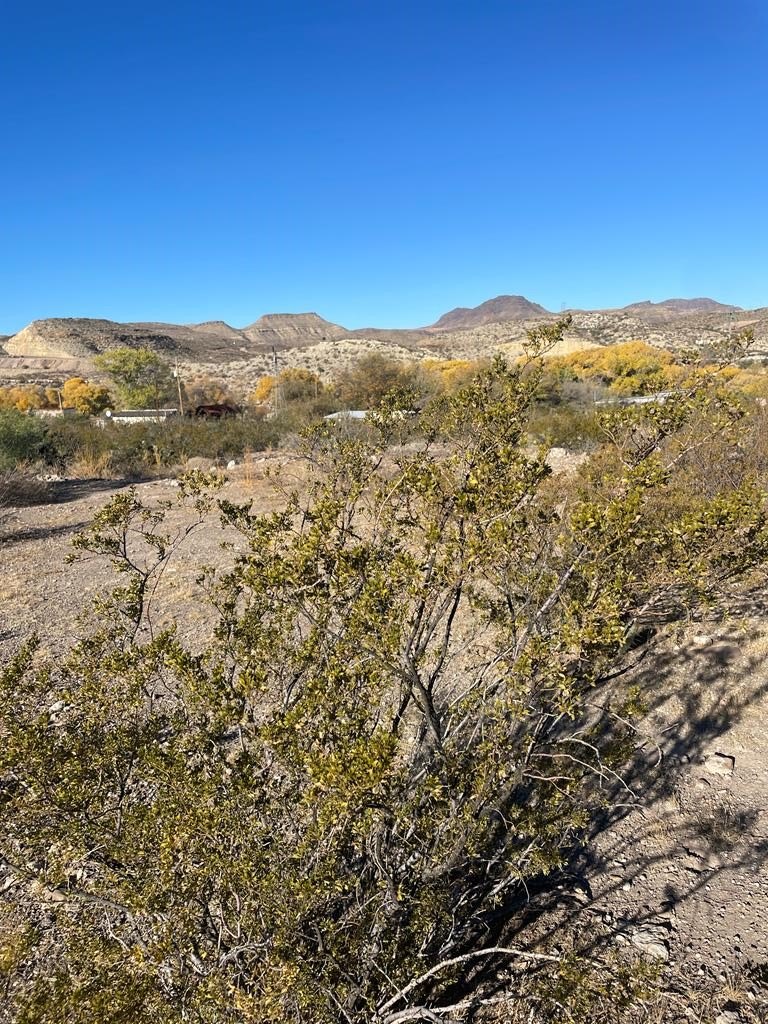 Land in Shafter, Texas