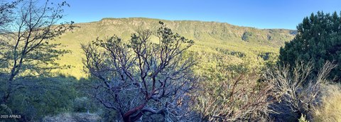 Land with Mogollon Rim Views