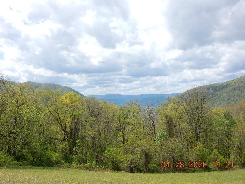 Picture 2