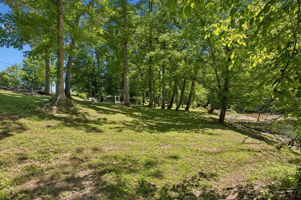 Picture 25