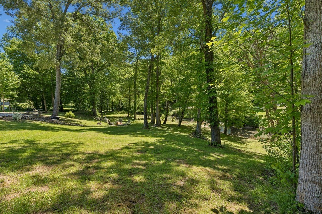 Picture 28