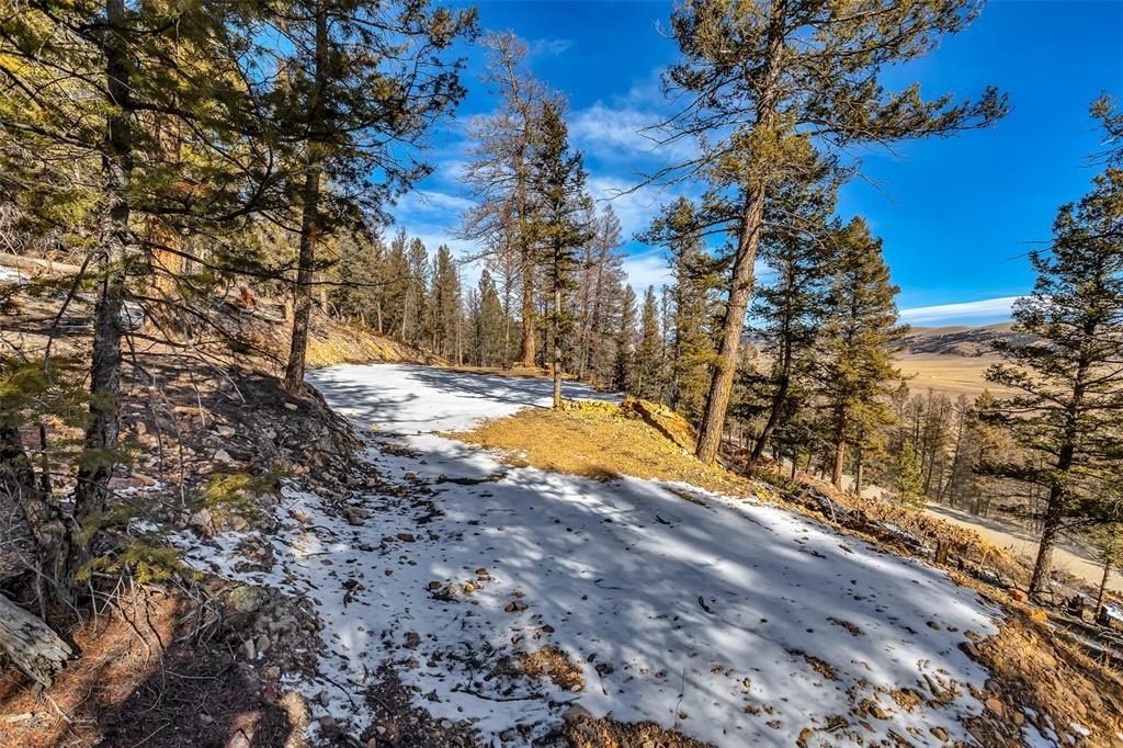 Picture 18