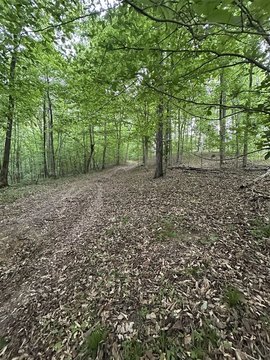Scottsville Acreage For Sale