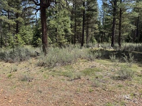 Klamath Falls Land Parcel