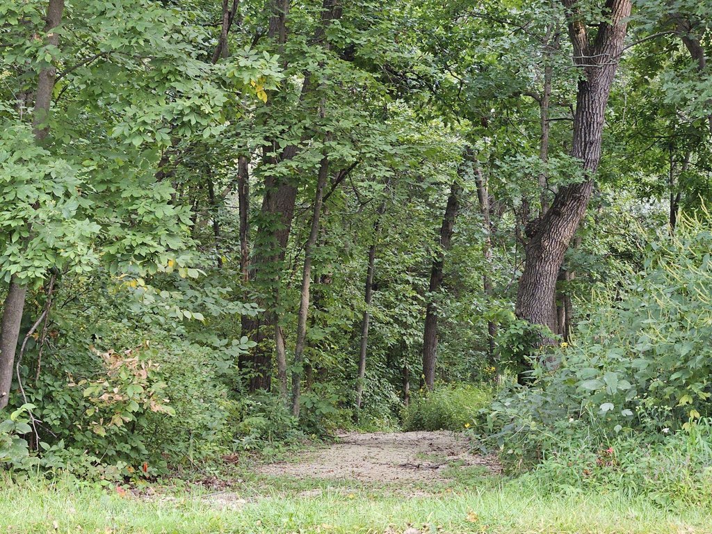 Picture 4
