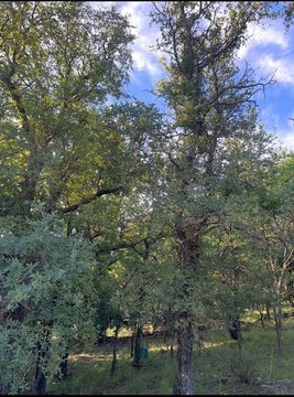 RV Lot Near Lake Brownwood