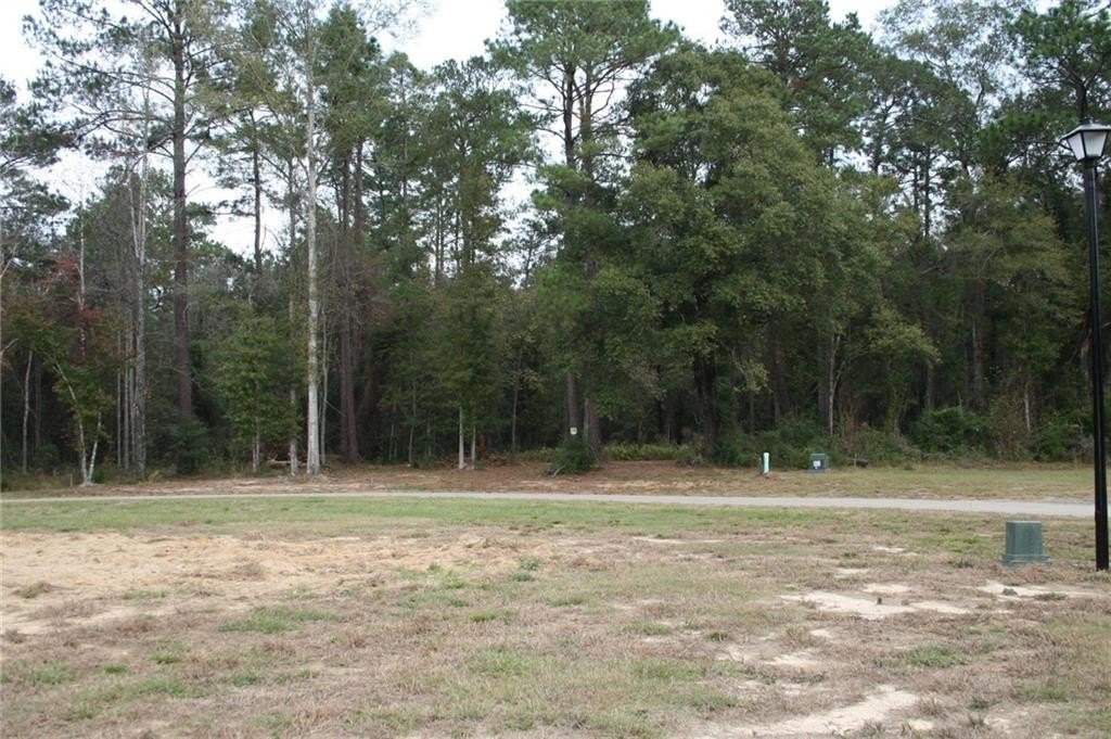 Picture 30