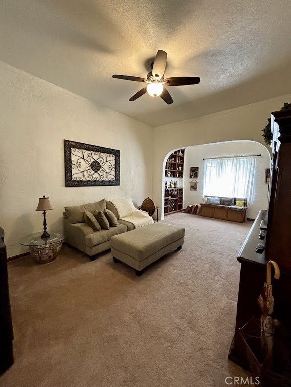 Picture 8