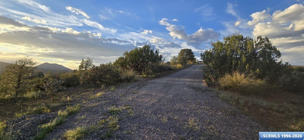 Picture 8