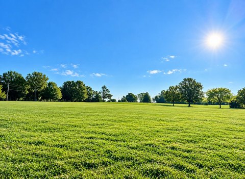 Land, Tupelo, MS