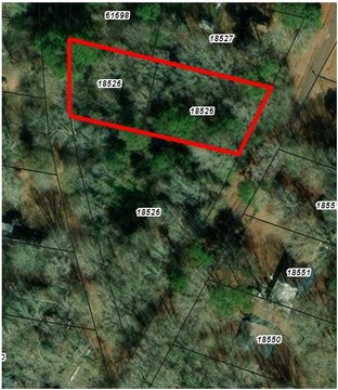 Chireno, TX Land Opportunity