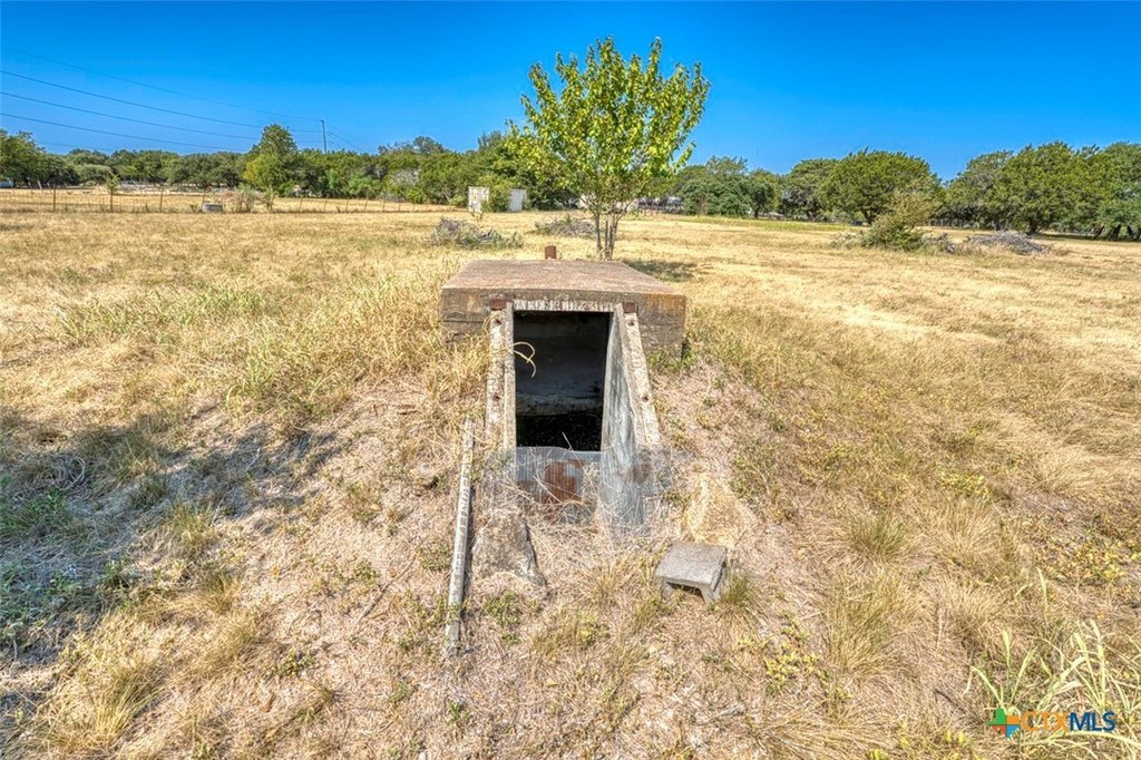 Picture 25
