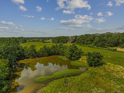 Vineyard Land with Pond Setting