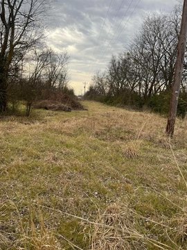 Vacant Land in Sulphur Springs