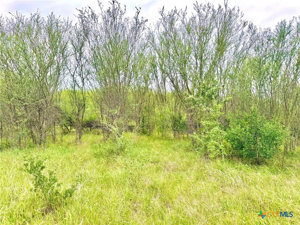 Smiley, TX Land Opportunity