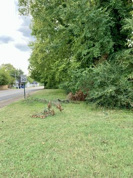 Land, Chattanooga, TN