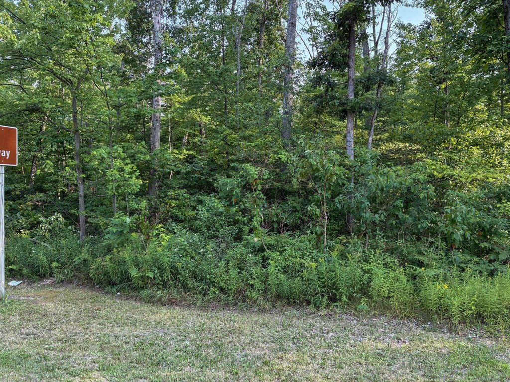 Picture 23