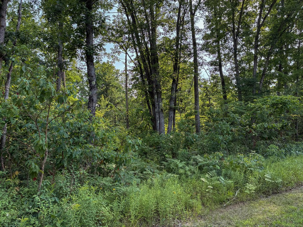 Picture 21