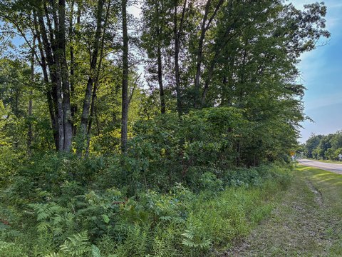 LAND - White Cloud, MI