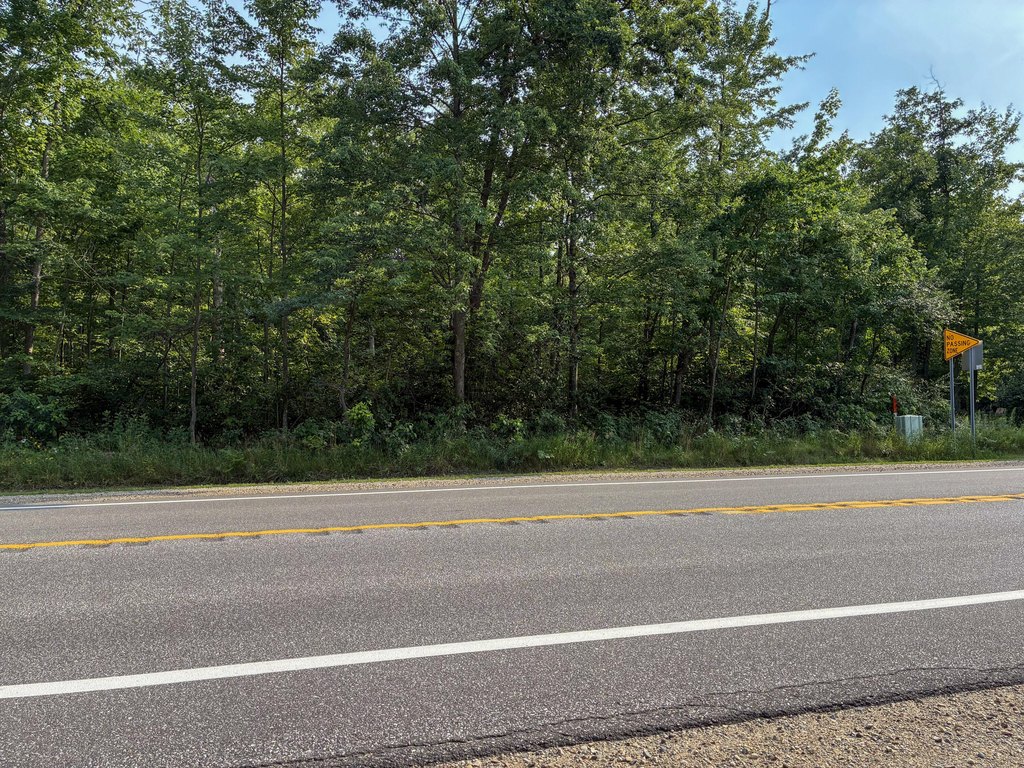 Picture 25