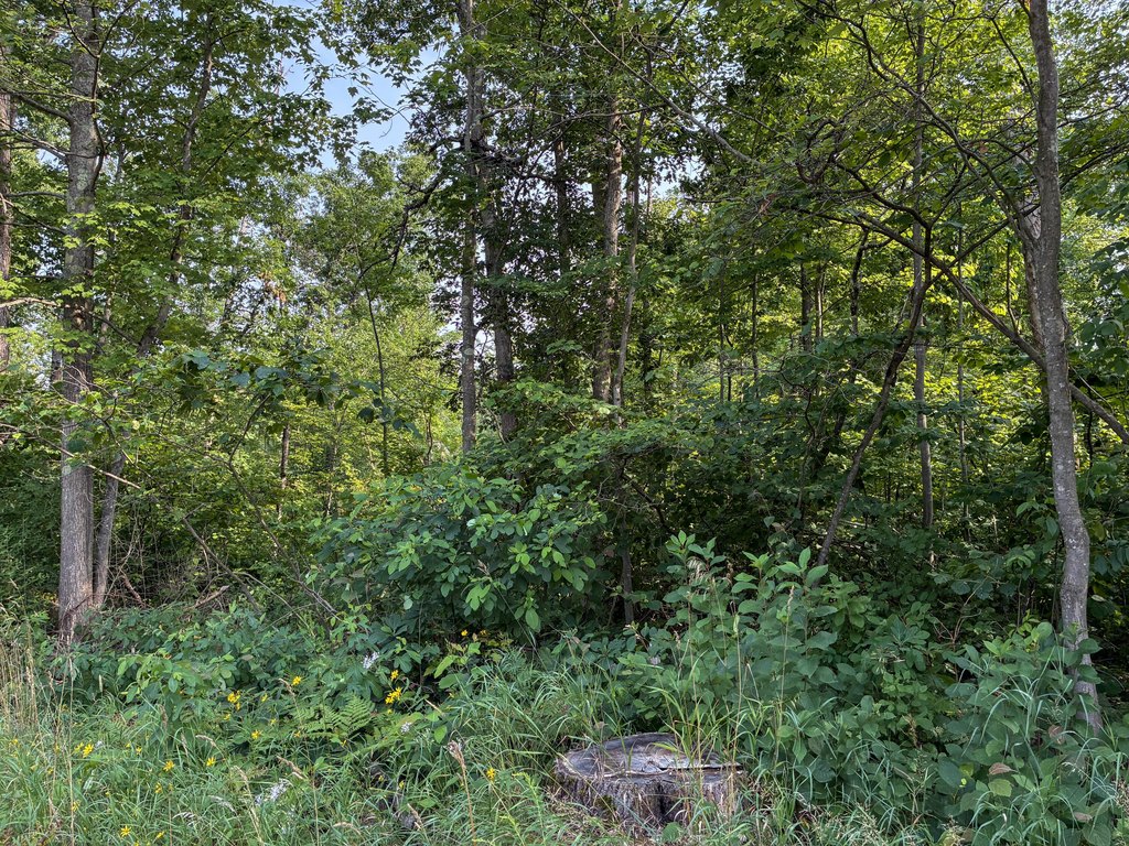 Picture 22