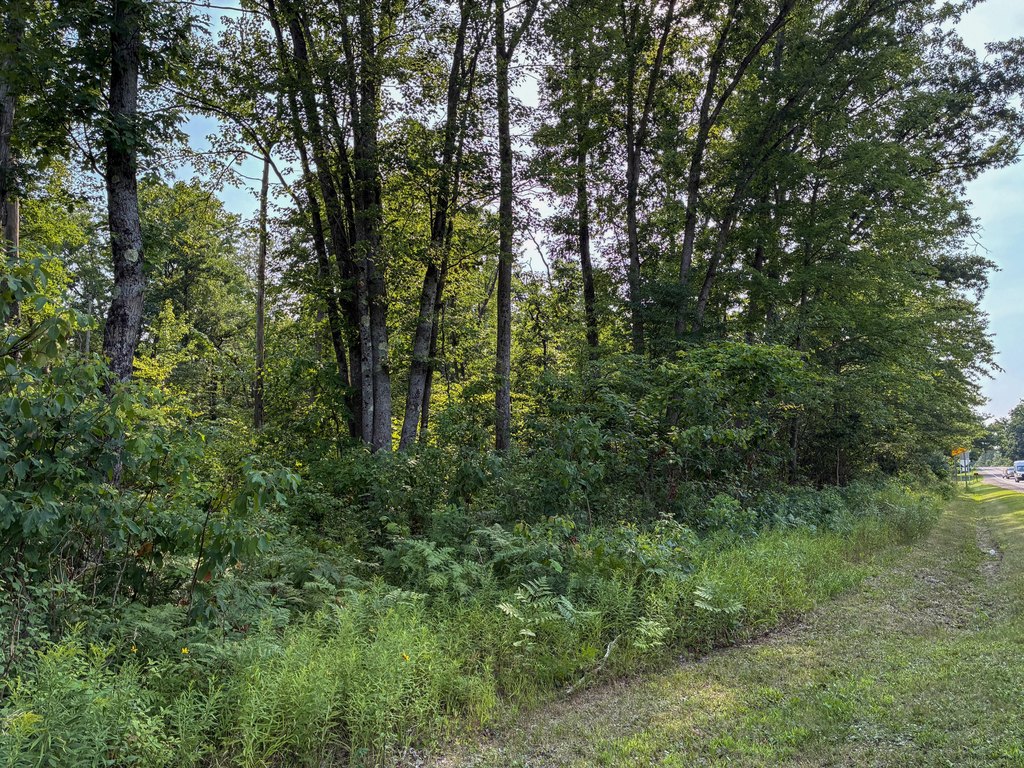 Picture 24