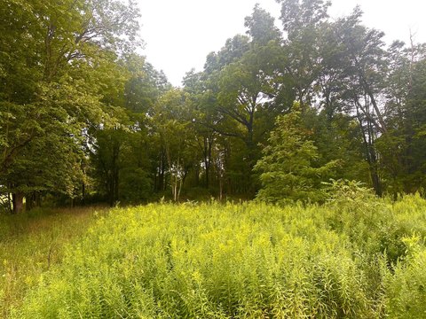 Land, Edinboro, PA