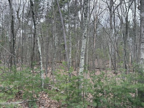 LAND - Dingmans Ferry, PA