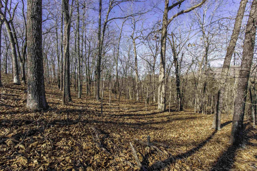 Picture 3