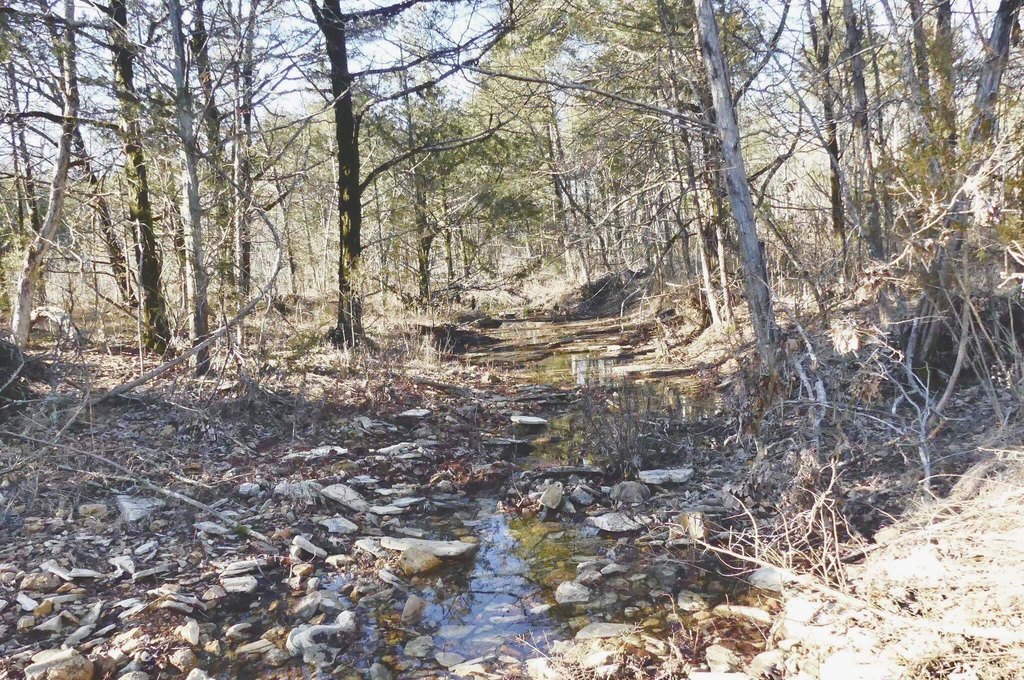 Picture 36