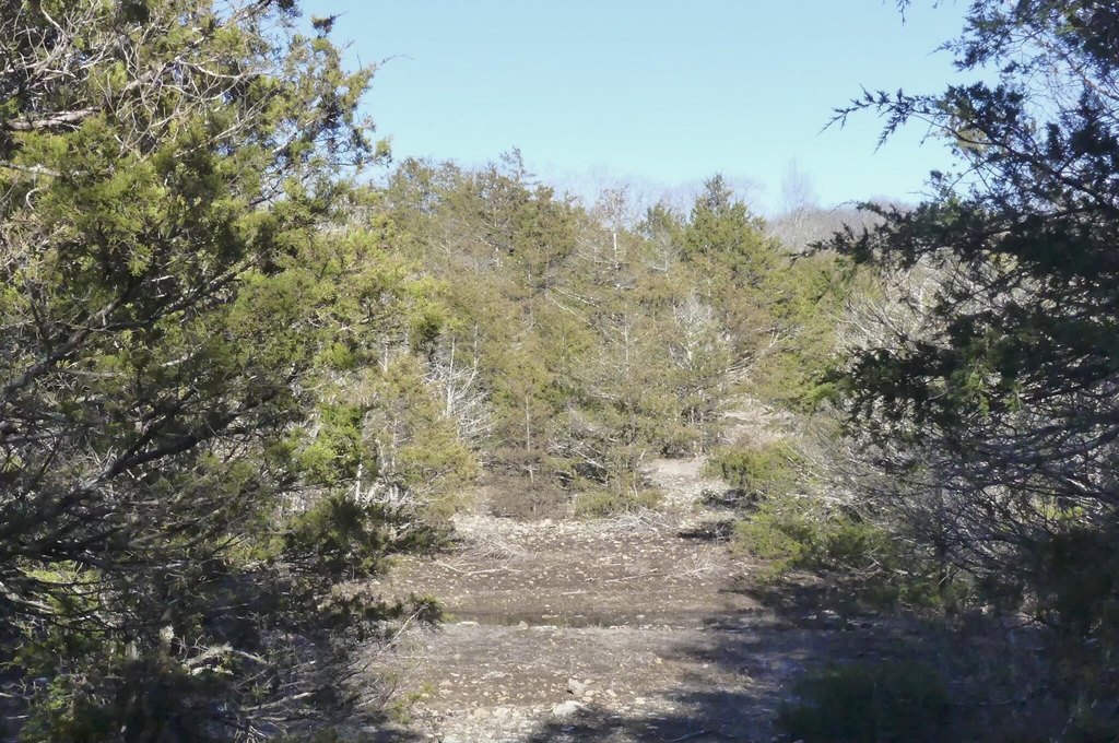 Picture 41