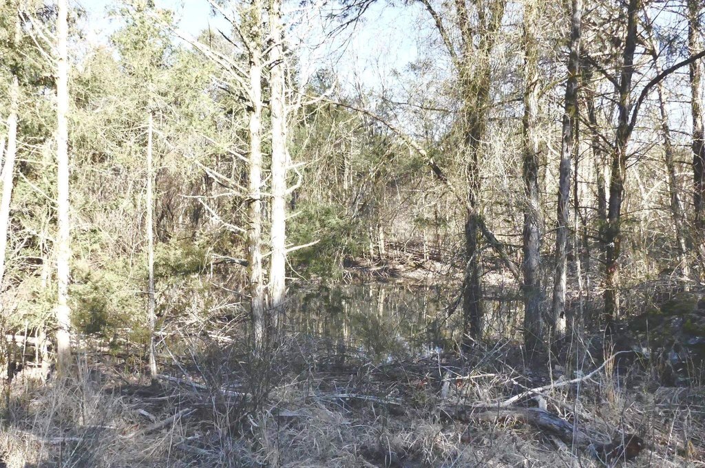 Picture 37