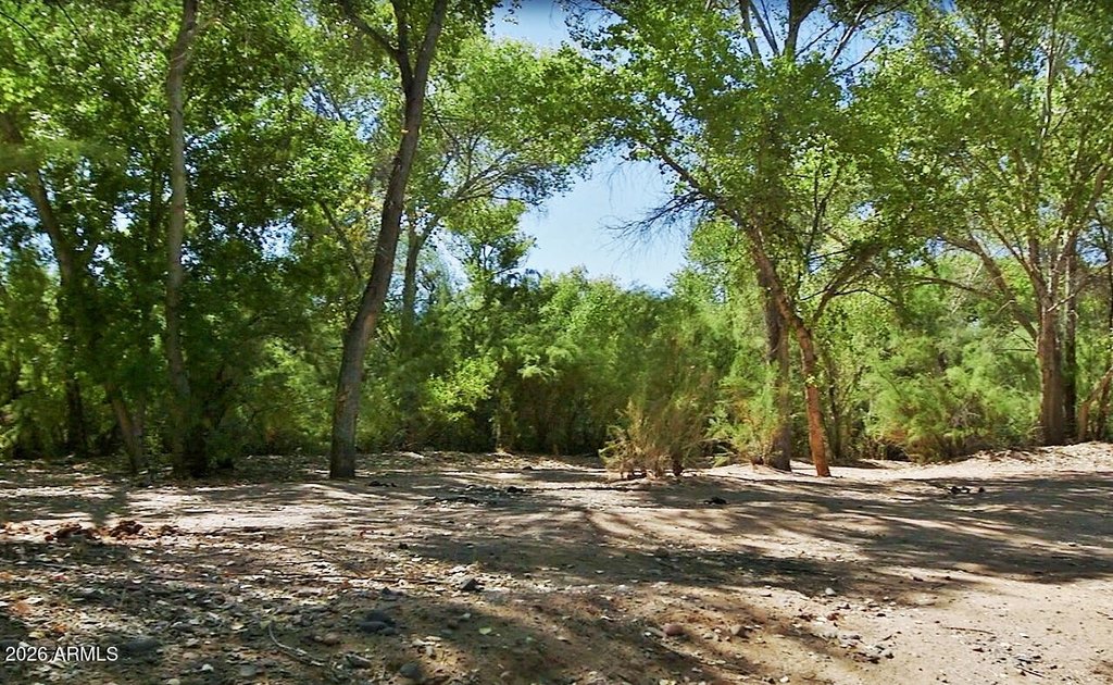 Picture 26