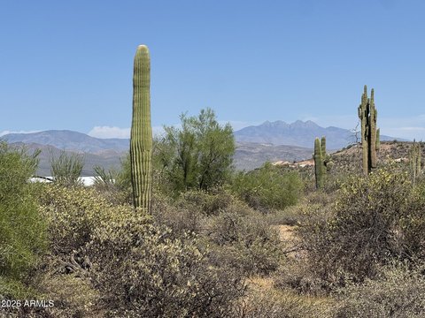 LAND - Rio Verde, AZ